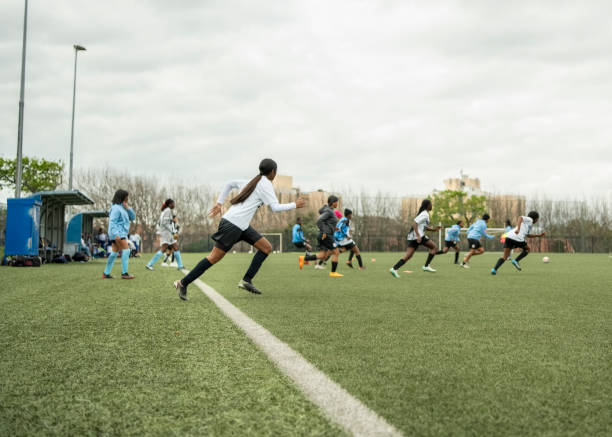 金的合理运 金的合理运